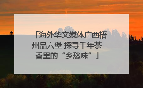 海外华文媒体广西梧州品六堡 探寻千年茶香里的“乡愁味”