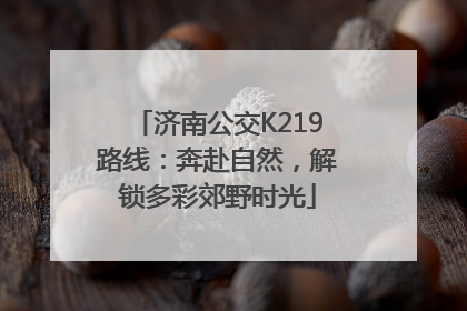 济南公交K219路线：奔赴自然，解锁多彩郊野时光