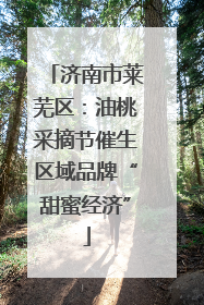 济南市莱芜区：油桃采摘节催生区域品牌“甜蜜经济”