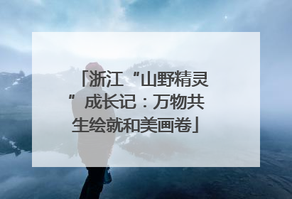 浙江“山野精灵”成长记：万物共生绘就和美画卷