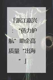 浙江嘉兴：“侨力护航”助企高质量“出海”