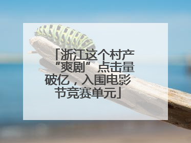 浙江这个村产“爽剧”点击量破亿，入围电影节竞赛单元