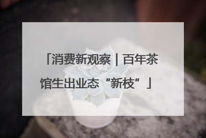 消费新观察｜百年茶馆生出业态“新枝”