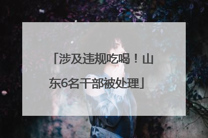 涉及违规吃喝！山东6名干部被处理