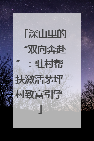 深山里的“双向奔赴”：驻村帮扶激活茅坪村致富引擎