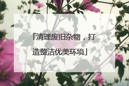 清理废旧杂物，打造整洁优美环境