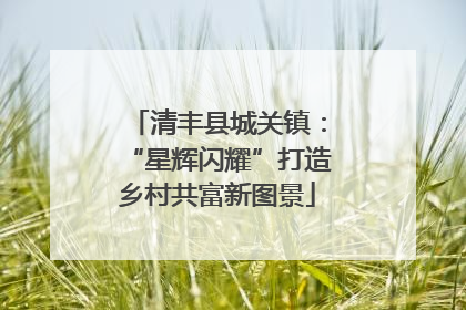 清丰县城关镇：“星辉闪耀”打造乡村共富新图景