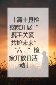 清丰县检察院开展“携手关爱 共护未来”“六一”检察开放日活动