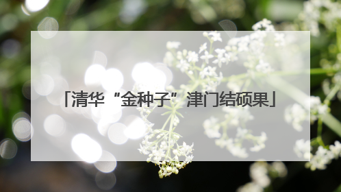 清华“金种子”津门结硕果