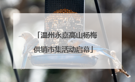 温州永嘉高山杨梅供销市集活动启幕