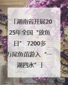 湖南省开展2025年全国“放鱼日” 7200多万尾鱼苗游入“一湖四水”
