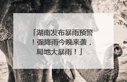 湖南发布暴雨预警！强降雨今晚来袭，局地大暴雨！