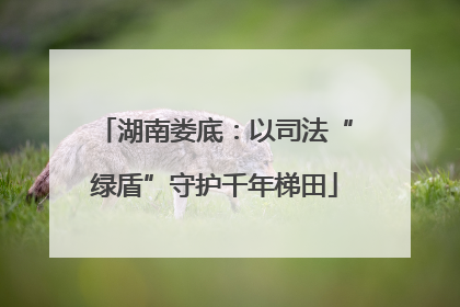 湖南娄底：以司法“绿盾”守护千年梯田