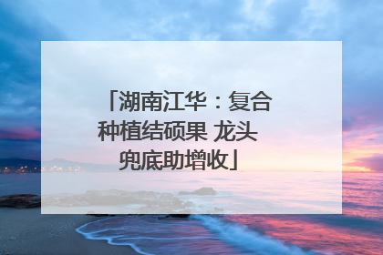 湖南江华：复合种植结硕果 龙头兜底助增收
