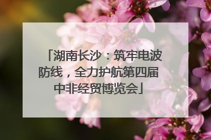 湖南长沙：筑牢电波防线，全力护航第四届中非经贸博览会