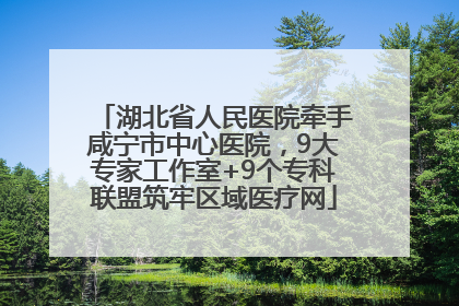 湖北省人民医院牵手咸宁市中心医院，9大专家工作室+9个专科联盟筑牢区域医疗网