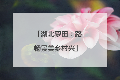 湖北罗田：路畅景美乡村兴