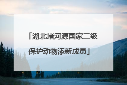 湖北堵河源国家二级保护动物添新成员
