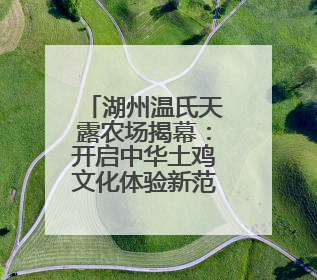 湖州温氏天露农场揭幕：开启中华土鸡文化体验新范式，羽毛球世界冠军郑思维助力品牌兴农