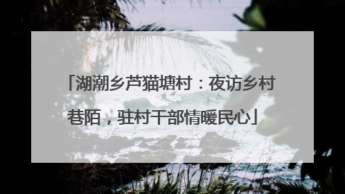湖潮乡芦猫塘村：夜访乡村巷陌，驻村干部情暖民心