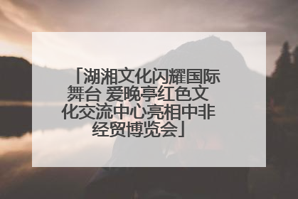 湖湘文化闪耀国际舞台 爱晚亭红色文化交流中心亮相中非经贸博览会