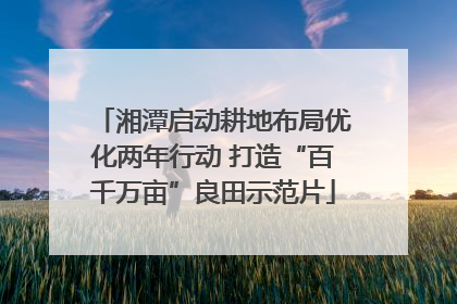 湘潭启动耕地布局优化两年行动 打造“百千万亩”良田示范片
