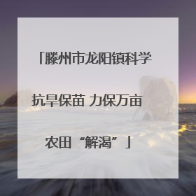 滕州市龙阳镇科学抗旱保苗 力保万亩农田“解渴”