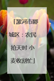 漯河市郾城区：农民抢天时 小麦收割忙