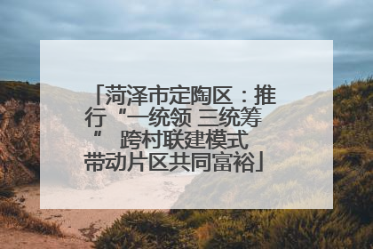 菏泽市定陶区：推行“一统领 三统筹” 跨村联建模式 带动片区共同富裕