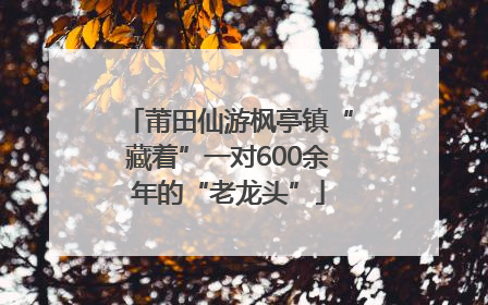 莆田仙游枫亭镇“藏着”一对600余年的“老龙头”