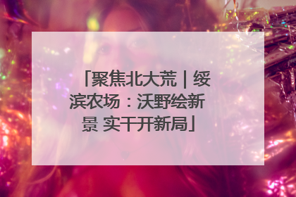 聚焦北大荒｜绥滨农场：沃野绘新景 实干开新局