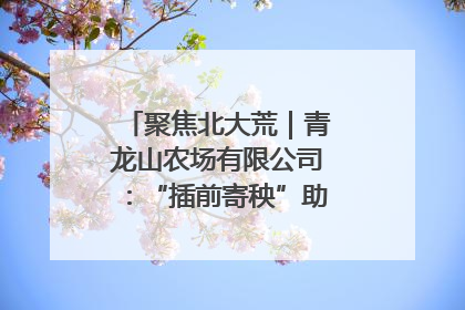 聚焦北大荒｜青龙山农场有限公司：“插前寄秧”助力农业节本增效