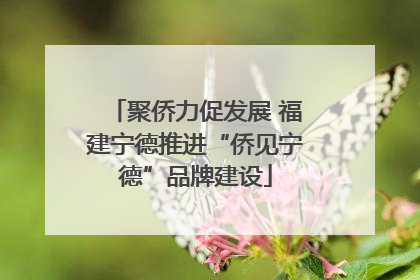 聚侨力促发展 福建宁德推进“侨见宁德”品牌建设