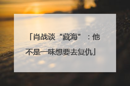 肖战谈“藏海”：他不是一味想要去复仇