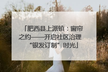 肥西县上派镇：窗帘之约——开启社区治理“银发订制”时光
