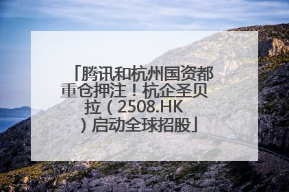 腾讯和杭州国资都重仓押注！杭企圣贝拉（2508.HK）启动全球招股