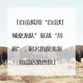 自贡拟用“自贡灯城燊龙队”征战“川超”，起名的是美发用品店销售员