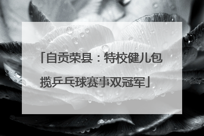 自贡荣县：特校健儿包揽乒乓球赛事双冠军