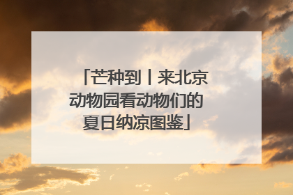 芒种到丨来北京动物园看动物们的夏日纳凉图鉴