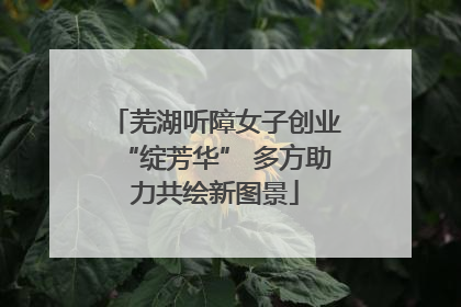 芜湖听障女子创业“绽芳华” 多方助力共绘新图景