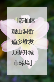 苏仙区观山洞街道多维发力提升城市环境