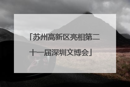 苏州高新区亮相第二十一届深圳文博会