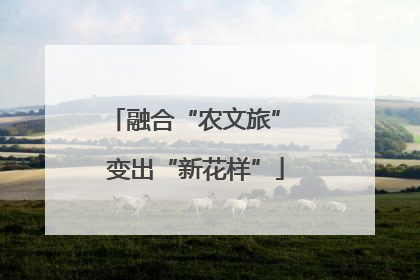 融合“农文旅” 变出“新花样”