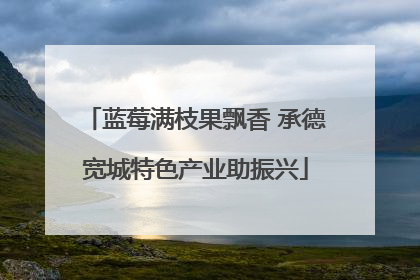 蓝莓满枝果飘香 承德宽城特色产业助振兴