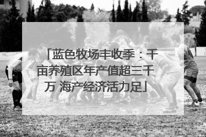 蓝色牧场丰收季：千亩养殖区年产值超三千万 海产经济活力足