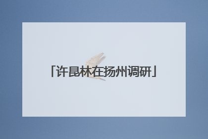 许昆林在扬州调研