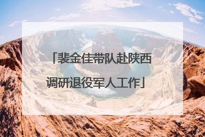 裴金佳带队赴陕西调研退役军人工作