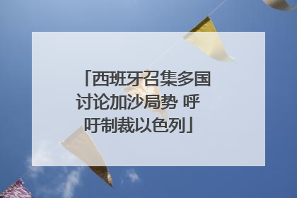 西班牙召集多国讨论加沙局势 呼吁制裁以色列