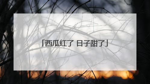 西瓜红了 日子甜了