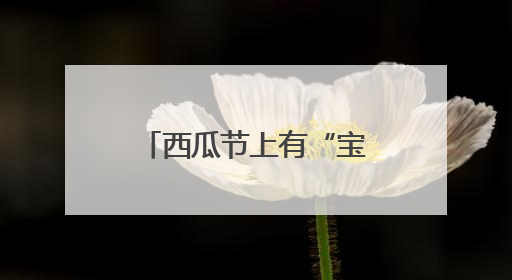西瓜节上有“宝藏”！天津静海台头西瓜文化旅游节甜蜜开幕